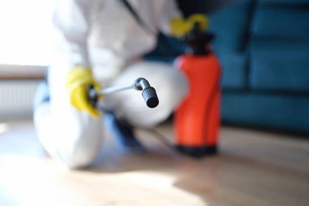 Best Asbestos and Lead Testing During Mold Inspection  in Mount Hope, WV