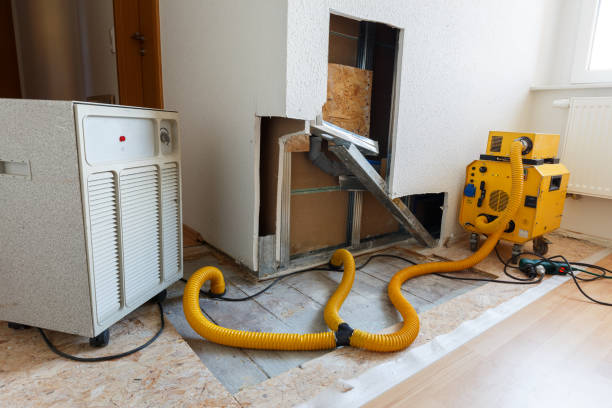 Best Mold Remediation for Healthcare Facilities  in Mount Hope, WV