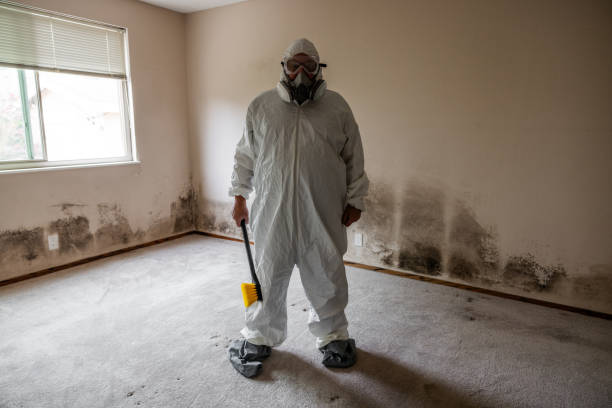 Best Comprehensive Air Testing for Mold Contaminants  in Mount Hope, WV