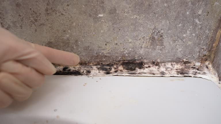 Best HVAC Mold Inspection and Cleaning  in Mount Hope, WV